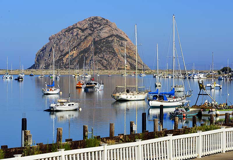 Boats moored in Morro Bay with Morro Rock in background