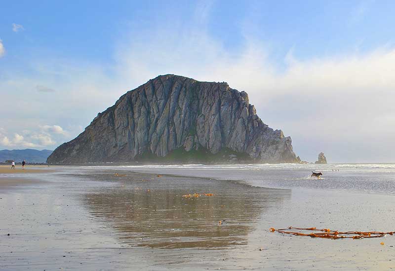 Morro rock refelected in water on beach at Morro Bay