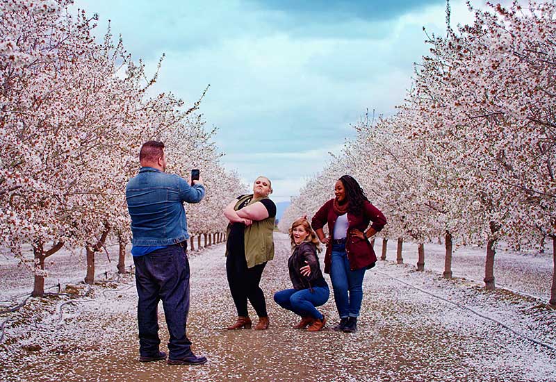 Blossom Trail - Best Tours & Travel